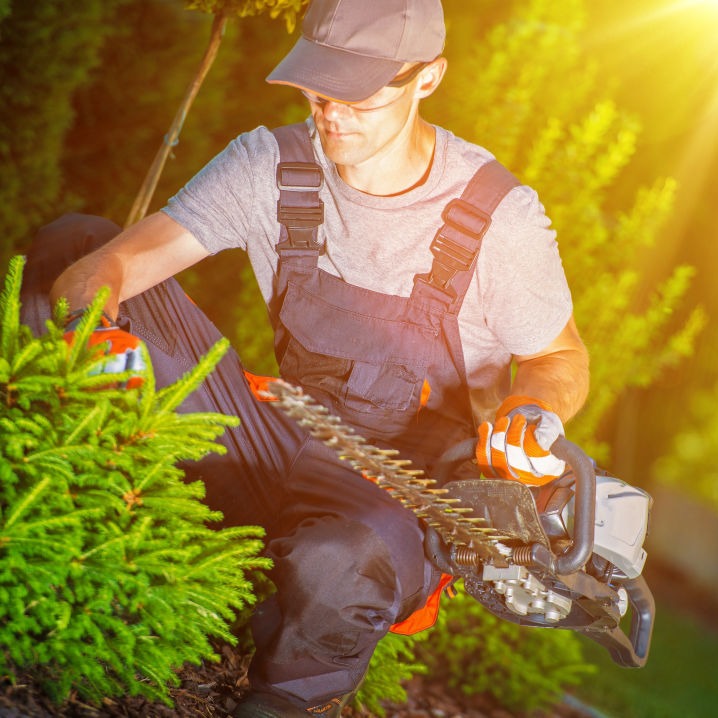 General Landscape | Blog | What is hedge trimming?
